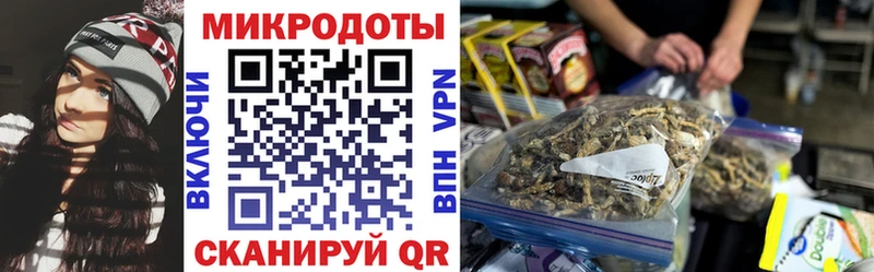 Галлюциногенные грибы GOLDEN TEACHER  Кушва 