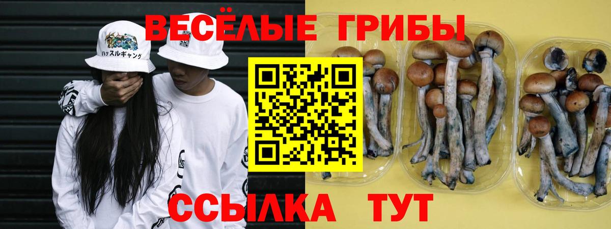 Галлюциногенные грибы ЛСД  Вход с VPN  Кушва 
